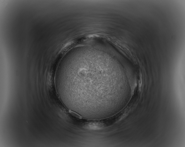 X0000085750708200703231132