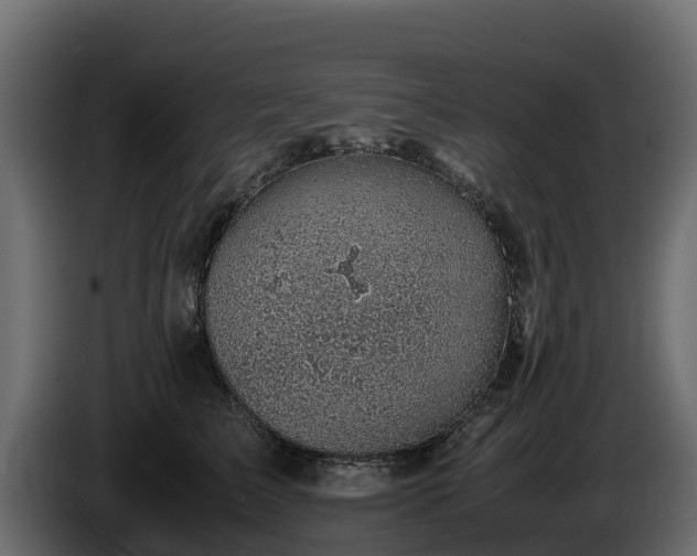 X0000085750709200703231132