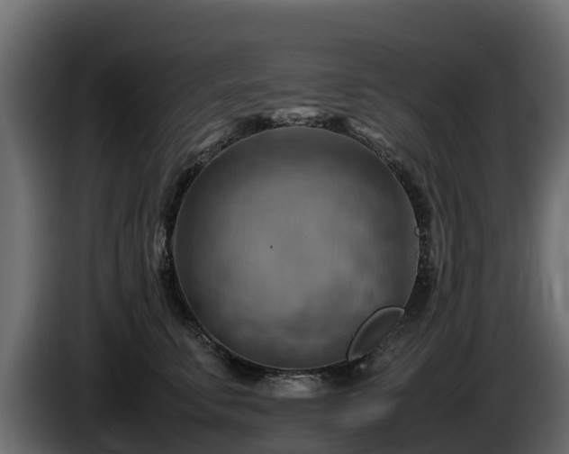 X0000085750711200703231132
