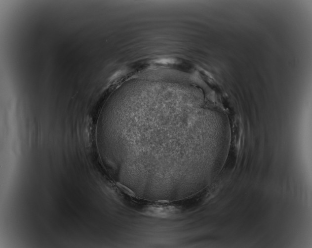 X0000085750712200703231132