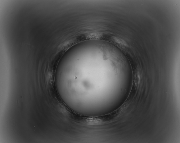 X0000085750714200703231132