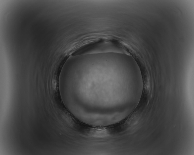 X0000085750715200703231132
