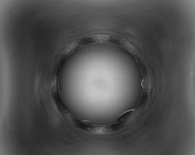 X0000085750717200703231132
