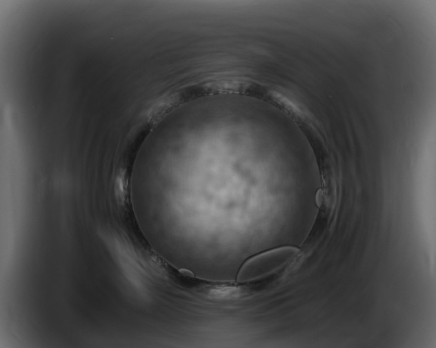 X0000085750718200703231132