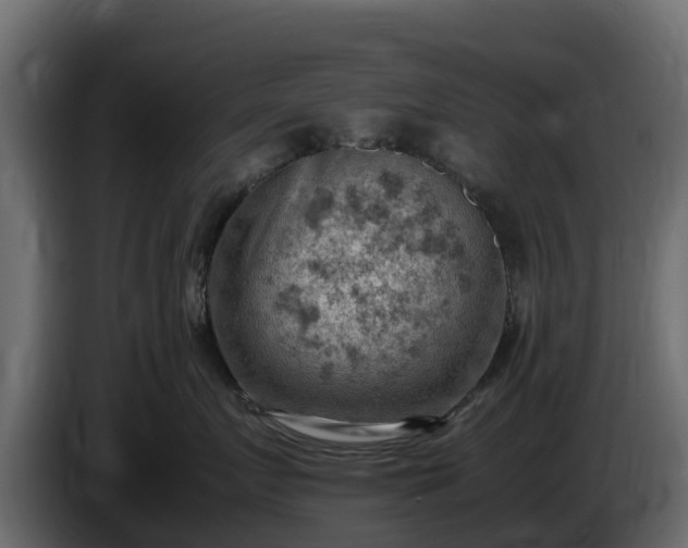 X0000085750719200703231132