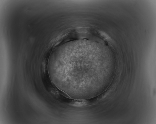 X0000085750720200703231132