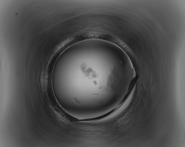 X0000085750722200703231131