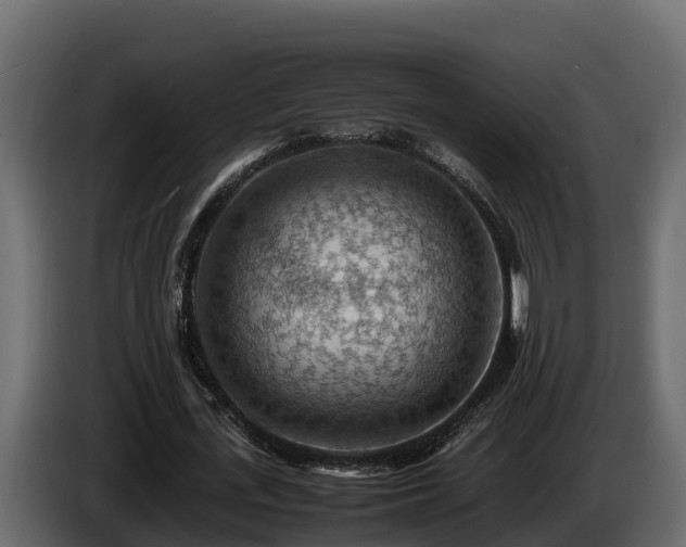 X0000085750723200703231131