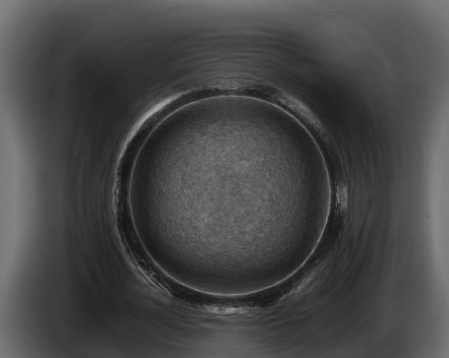 X0000085750724200703231131