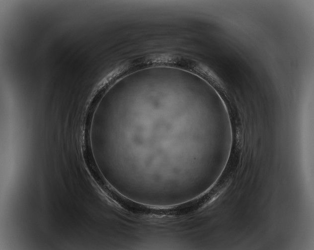 X0000085750725200703231131