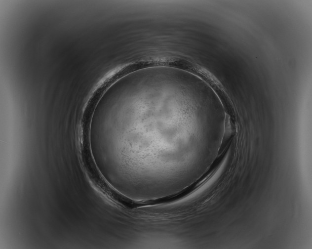 X0000085750726200703231131