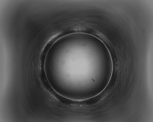 X0000085750727200703231131