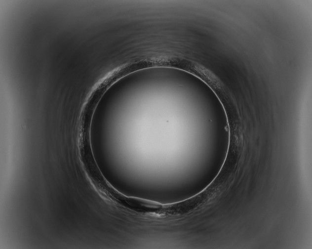 X0000085750728200703231131