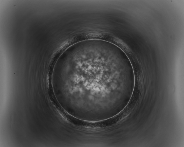 X0000085750729200703231131