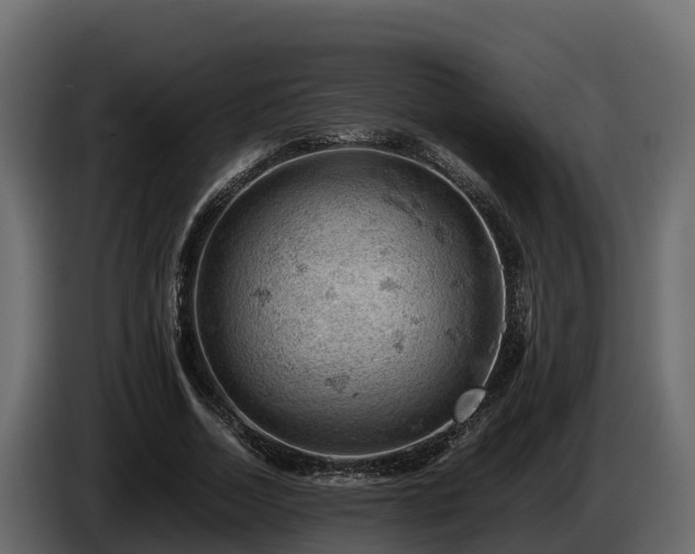 X0000085750730200703231131