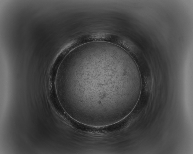 X0000085750731200703231131