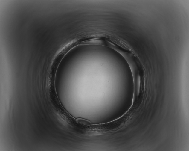 X0000085750732200703231131