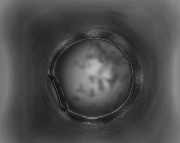 X0000085750733200703231131