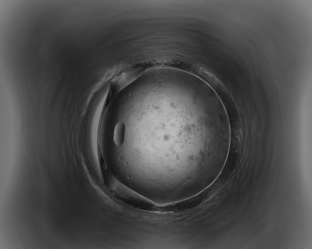 X0000085750734200703231131