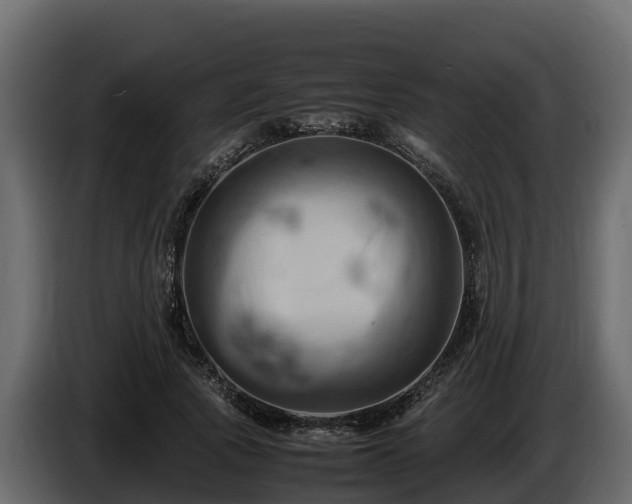 X0000085750737200703231132