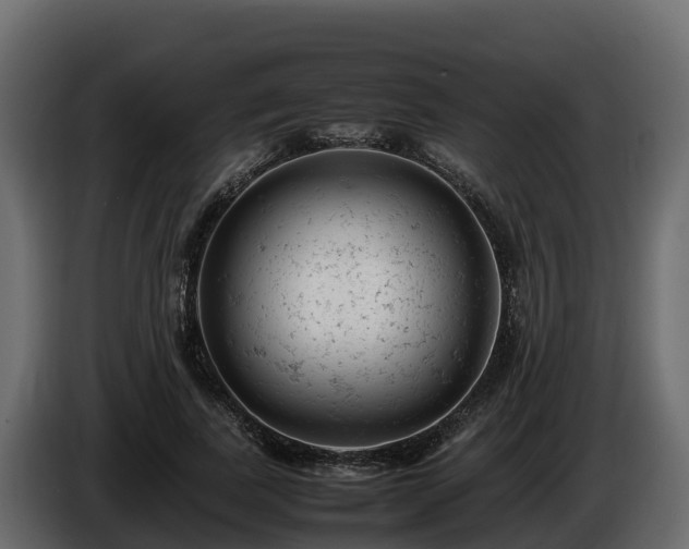 X0000085750739200703231132