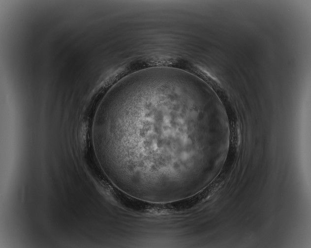 X0000085750742200703231132