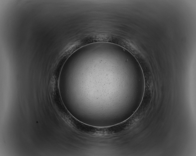 X0000085750744200703231132