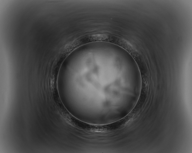 X0000085750745200703231132