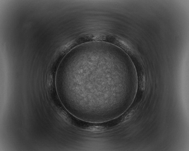 X0000085750748200703231132