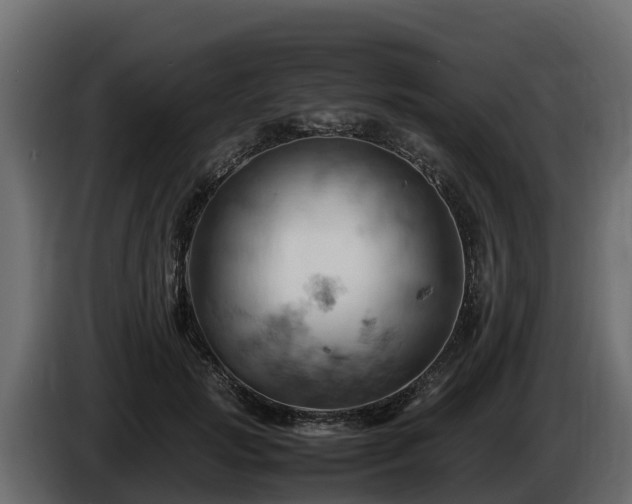 X0000085750749200703231132
