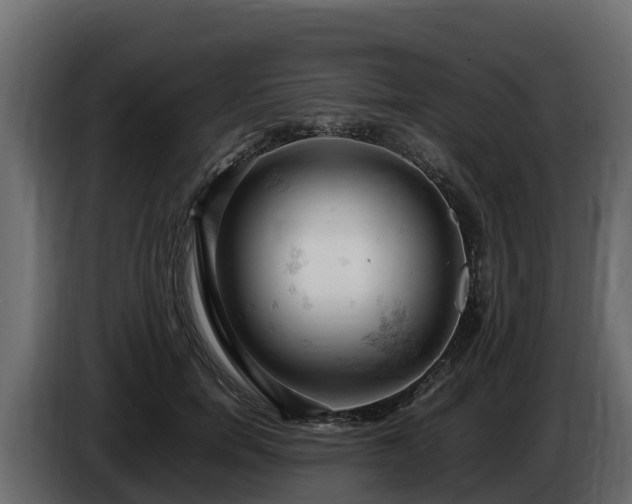 X0000085750750200703231132