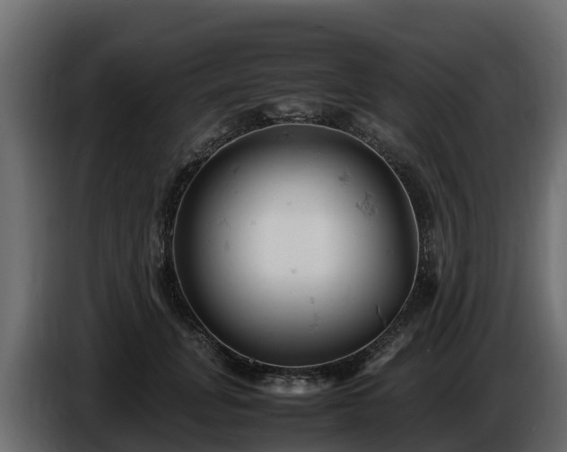 X0000085750751200703231132