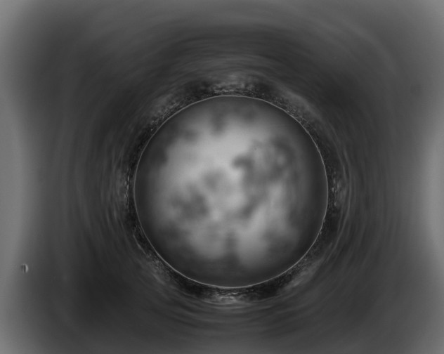 X0000085750753200703231132