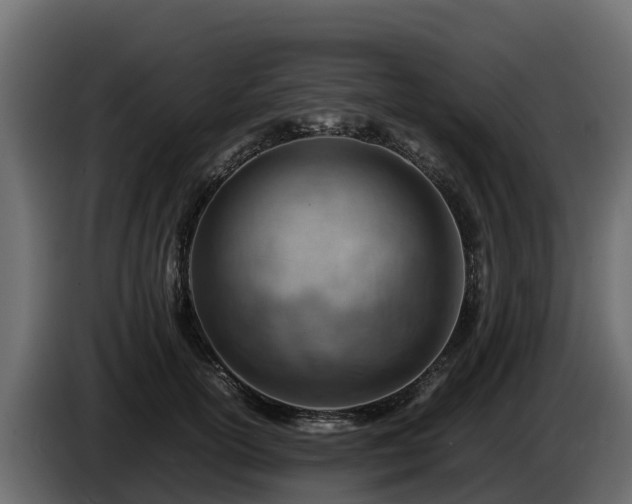 X0000085750754200703231132