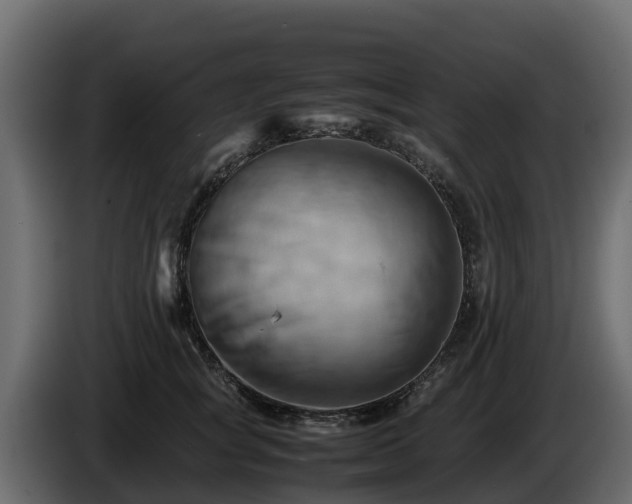 X0000085750757200703231132
