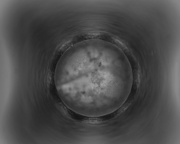 X0000085750758200703231132