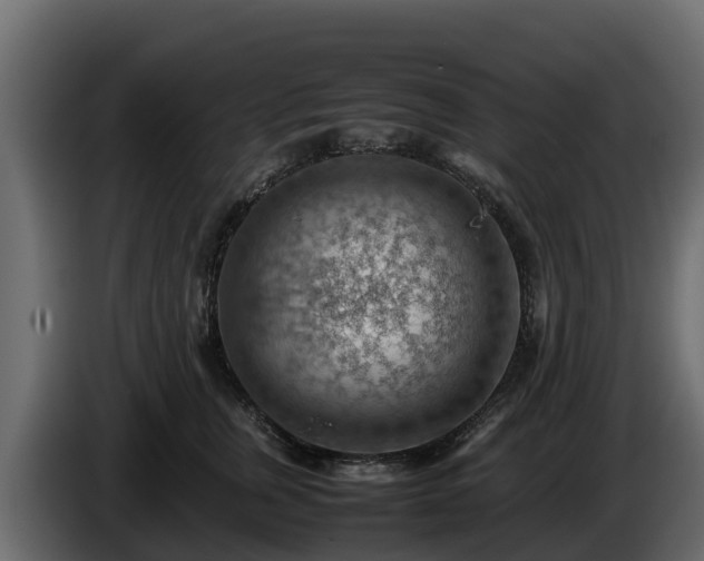 X0000085750759200703231132