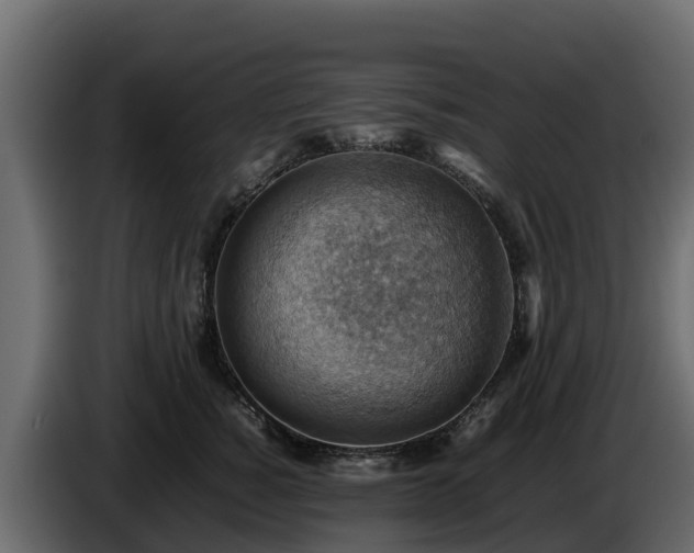 X0000085750760200703231132