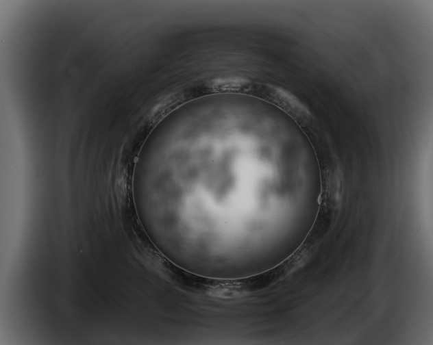 X0000085750761200703231132