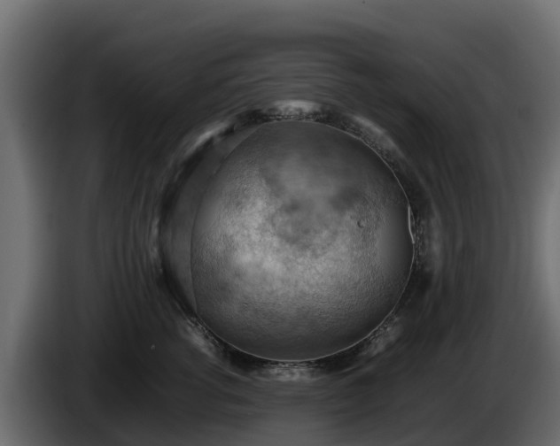 X0000085750762200703231132