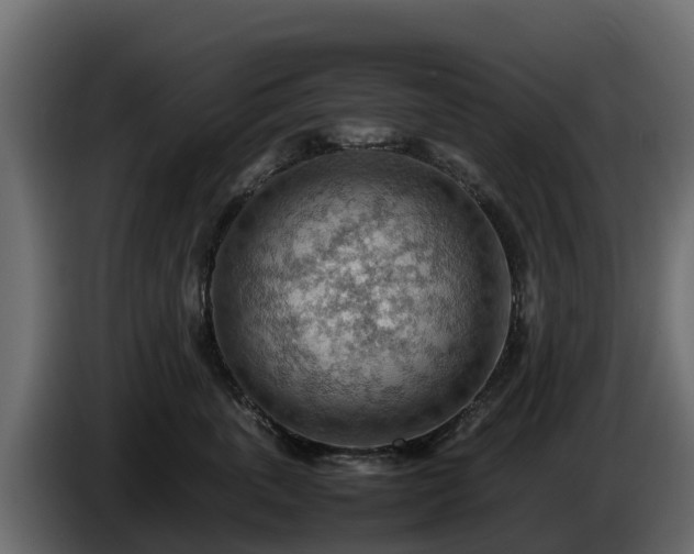 X0000085750763200703231132
