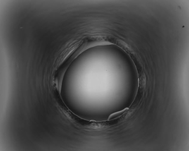 X0000085750764200703231132