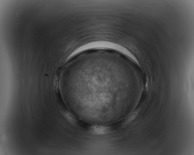 X0000085750766200703231132