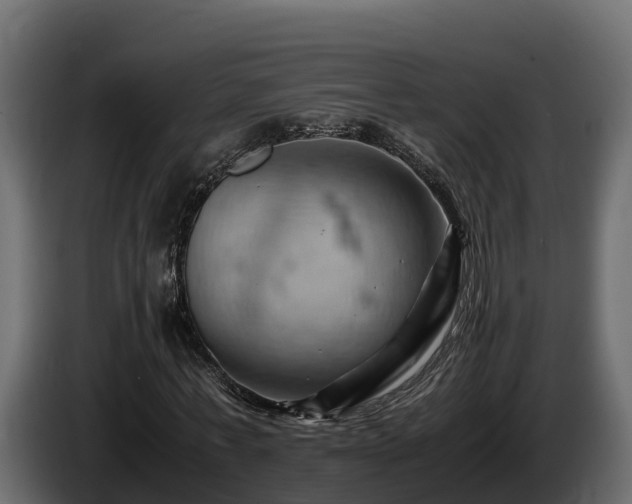 X0000085750771200703231131