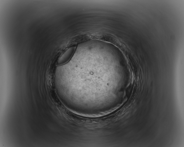 X0000085750772200703231131