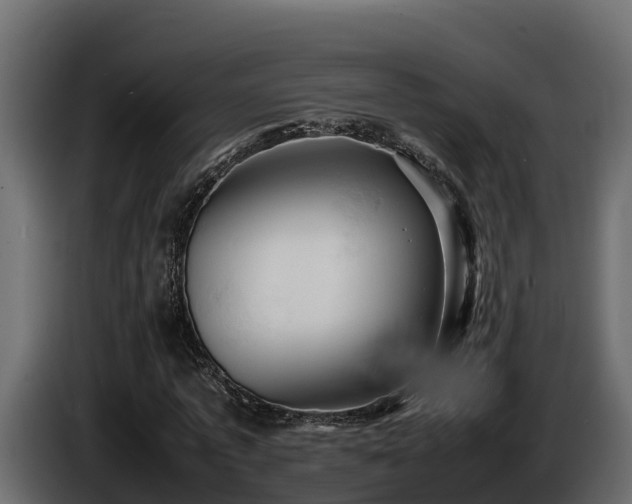 X0000085750773200703231131