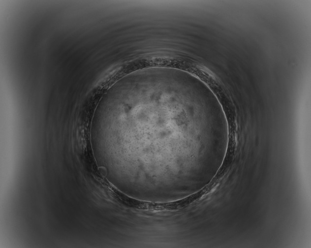 X0000085750774200703231131