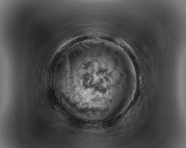 X0000085750775200703231131