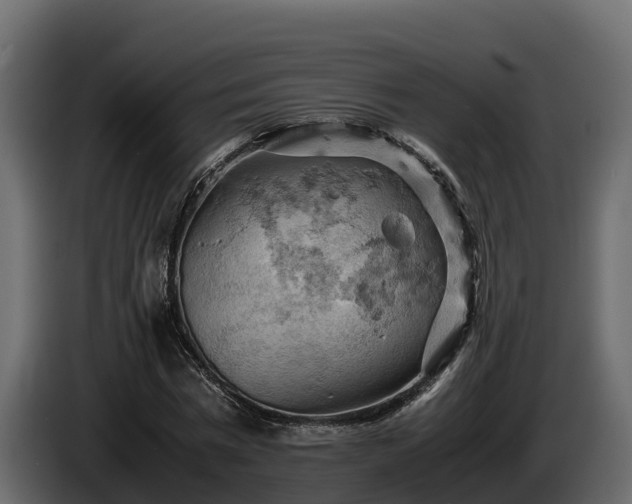 X0000085750777200703231131