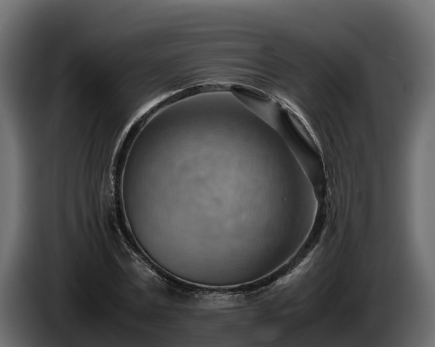 X0000085750779200703231131